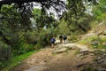 Pilgrims in the Mozarabic Camino de Santiago, Cerro Muriano, Province of Cordoba, Andalusia, Spain