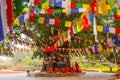 Pilgrims visit the birthplace of Buddha during Buddha Jayanti .