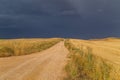 Pilgrims walk along the Camino De Santiago