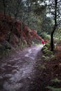 Pilgrims walk through the fall forest on the Way of St. James. Royalty Free Stock Photo