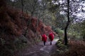 Pilgrims walk through the fall forest on the Way of St. James or Camino de Santiago. Royalty Free Stock Photo