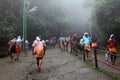 Pilgrims walk through the forest to Sabarimala temple