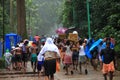 Pilgrims walk through the forest to Sabarimala temple