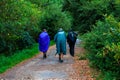 Pilgrims walking on the countryside road at Rainy day during the Camino de Santiago, Spain Royalty Free Stock Photo