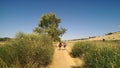 Pilgrims walking on a dirt road on the way of Saint James, camino de santiago, Spain.