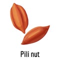 Pili nut icon, cartoon style