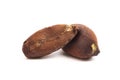 Pili Nuts from the Philippines Isolated on White Background Royalty Free Stock Photo