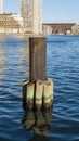 Piling Boston harbor