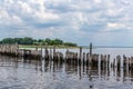 Pilings on the Bay