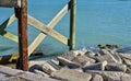 Pilings from pier and rocks Royalty Free Stock Photo