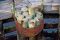 Pilings Royalty Free Stock Photo