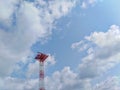 The pillar tree signaling the beautiful sky view