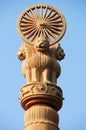 Pillars of Ashoka Royalty Free Stock Photo