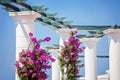 Pillars with bougainvillea on Capri island Royalty Free Stock Photo