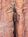 Pillars in Canyon