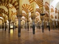 Famous Pillars in the great mosque in Cordoba