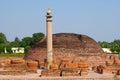 The pillars found at Vaishali with single lion capital Ashoka Pillar in india