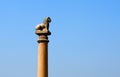 The pillars found at Vaishali with single lion capital Ashoka Pillar in india