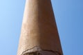 The pillars found at Vaishali with single lion capital Ashoka Pillar in india