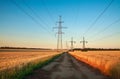 Pillars of line power electricity in wheat fields on blue sky Royalty Free Stock Photo