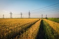 Pillars of line power electricity among the wheat fields Royalty Free Stock Photo