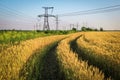 Pillars of line power electricity among the wheat fields with road Royalty Free Stock Photo