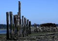 Pillars during low tide, Royston Vancouver Island Royalty Free Stock Photo