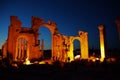 Pillars of Palmyra at night