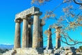 Pillars Of Temple Of Apollo In Ancient Corinth Greece Framed By Chinaberries On Branches Against Blue Sky With Snow Topped