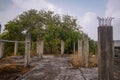 Pillars of an unfinished abandoned building in Thailand and trees seen in the background. Royalty Free Stock Photo