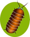 Pillbug Royalty Free Stock Photo