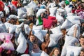 Pillow Fight Day 2015 Royalty Free Stock Photo