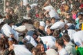 Pillow Fight Day 2015 Royalty Free Stock Photo