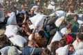 Pillow Fight Day 2015 Royalty Free Stock Photo