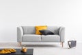 Pillow on grey couch in grey living room interior with copy space. Real photo