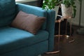 Pillow lying on the sofa. interior details. indoor flowers in the background