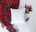 Pillow birds eye view and styled with Christmas items w white background