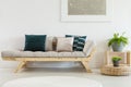 Pillows on beige couch in tasteful living room interior with plant on wooden stand