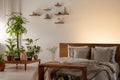 Pillows and blanket on wooden bed in bedroom interior with plants and shelves. Real photo Royalty Free Stock Photo