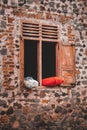 Pillows and bolsters that are drying on the window