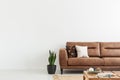 Pillows on brown leather settee in white living room interior Royalty Free Stock Photo