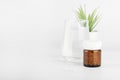 Pills in glass bottle, green plant in pot and glass of water on white background Royalty Free Stock Photo