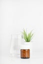 pills in glass bottle, green plant in pot and glass of water on white background. Royalty Free Stock Photo