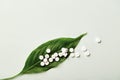 pills on a green leaf Royalty Free Stock Photo