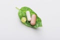 Pills on green leaf on white Royalty Free Stock Photo