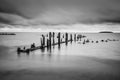 Pilmore, groynes in black and white