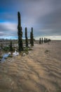 Pilmore Groynes at Low Tide 2