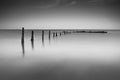 Pilmore Groynes 8