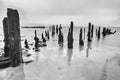 Pilmore Groynes 6