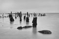 Pilmore Groynes 4